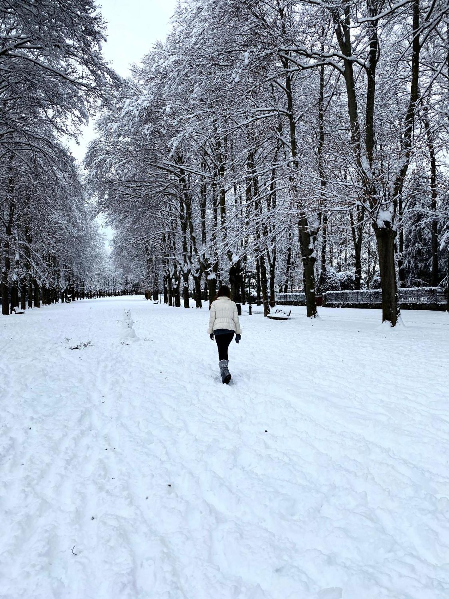Hotel De Кампродон Екстериор снимка